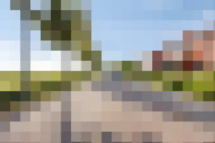Parallelweg 9 Sint-Maartensdijk thumbnail 44