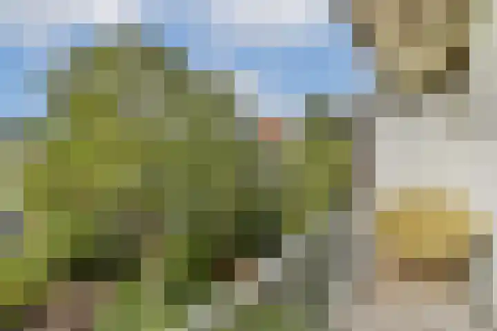 Paramariboplein 23 1 Amsterdam thumbnail 10