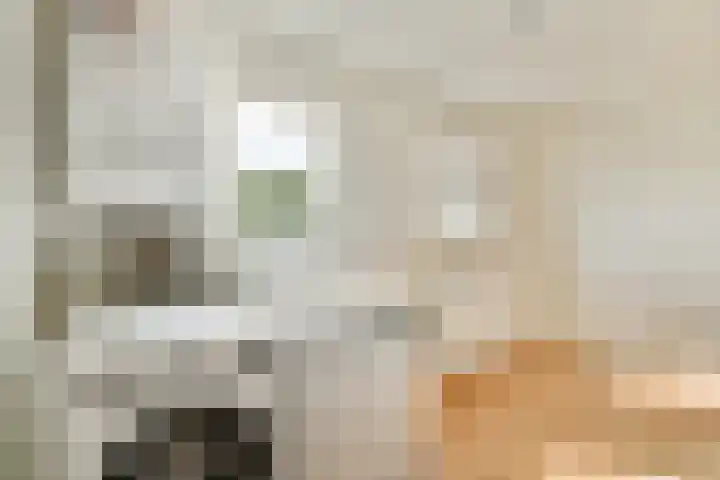 Paramariboplein 23 1 Amsterdam thumbnail 19