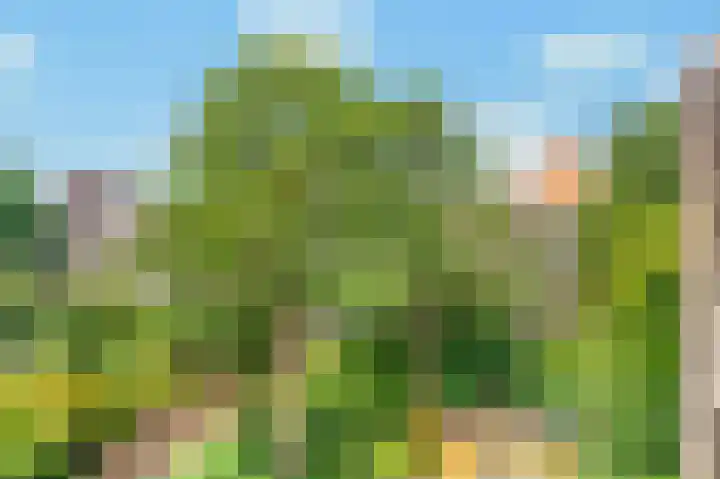 Paramariboplein 29 2 Amsterdam thumbnail 21