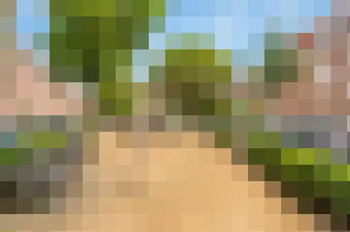 Paramariboplein 29 2 Amsterdam thumbnail 22