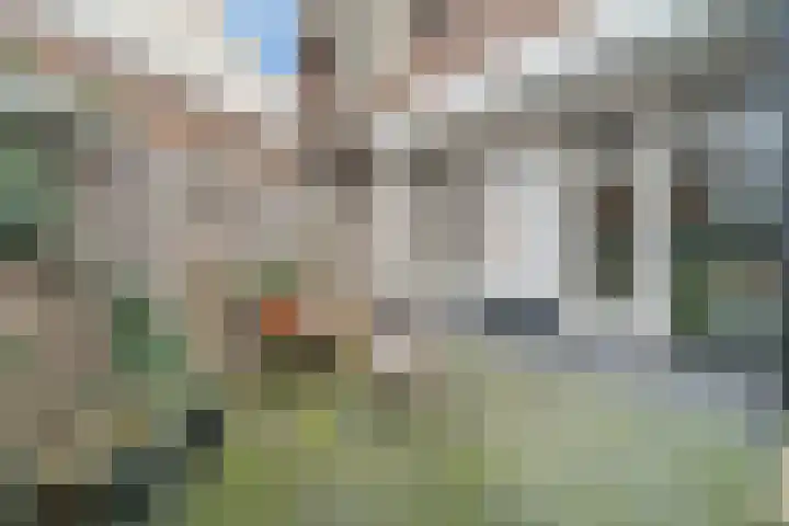 Paramaribostraat 11 Utrecht thumbnail 32