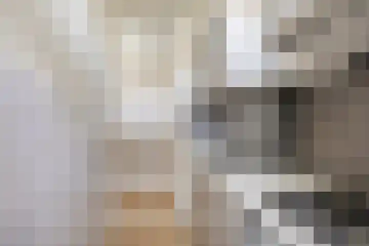 Paramaribostraat 37 Utrecht thumbnail 11
