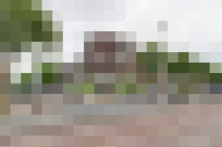 Paramaribostraat 37 Utrecht thumbnail 25