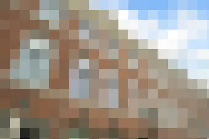 Paramaribostraat 8 Den Haag foto 3