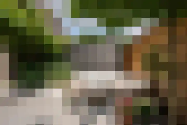 Paramaribostraat 88 Amsterdam thumbnail 18