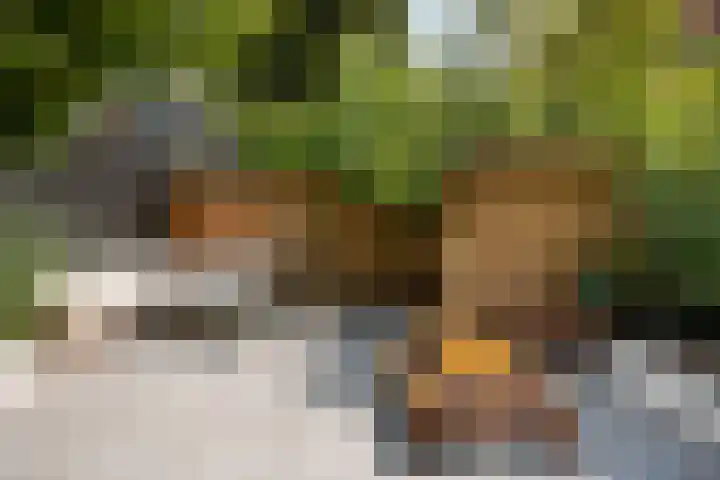 Paramaribostraat 88 Amsterdam foto 2