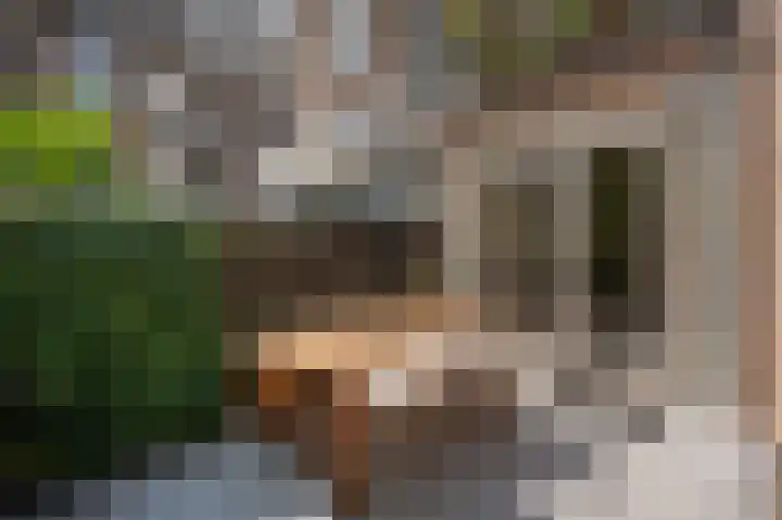 Paramaribostraat 88 Amsterdam thumbnail 22