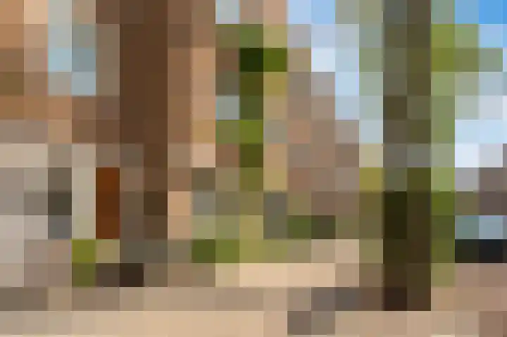 Paramaribostraat 88 Amsterdam thumbnail 39