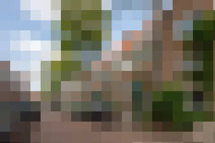 Paramaribostraat 88 Amsterdam thumbnail 41