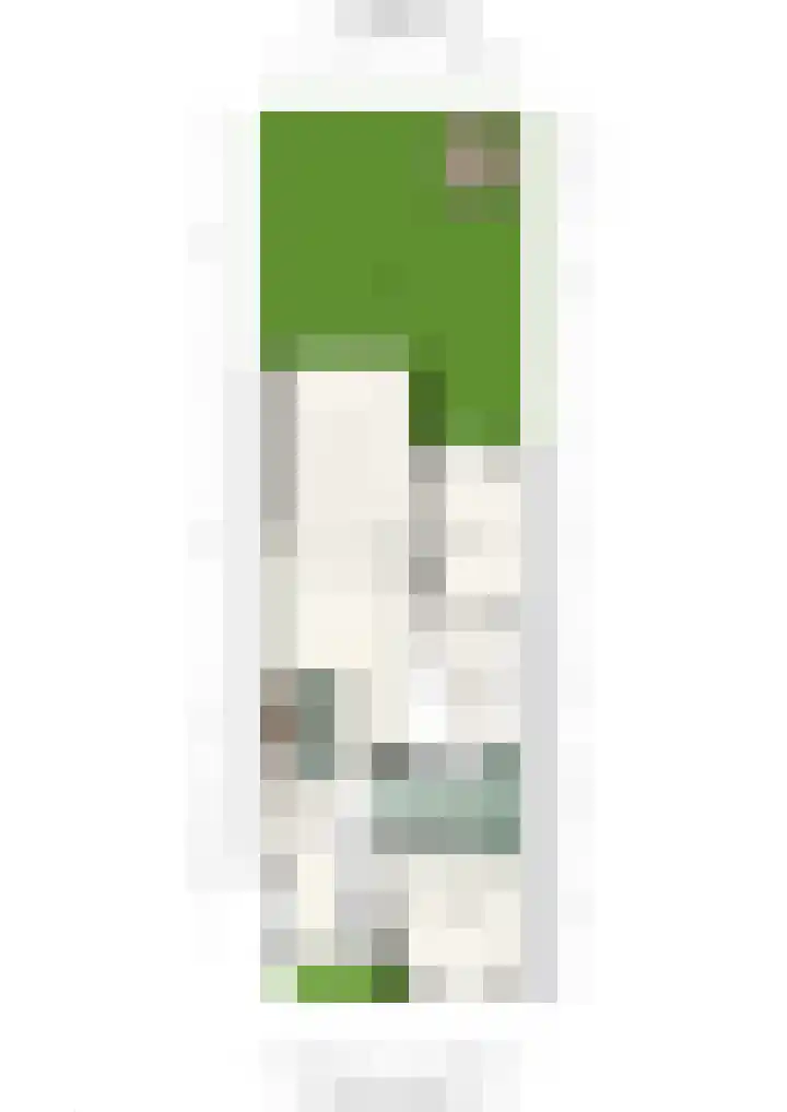 Paramaribostraat 88 Amsterdam thumbnail 46