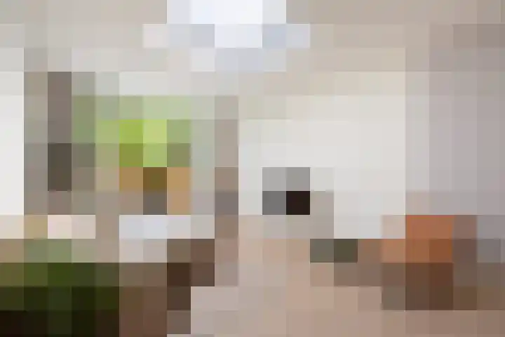 Paramaribostraat 88 Amsterdam thumbnail 9
