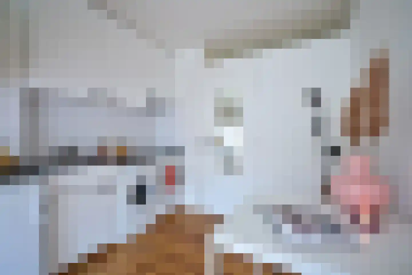 Paramaribostraat 94 E Utrecht thumbnail 4