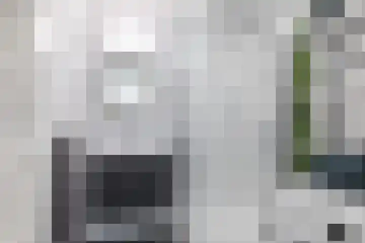 Paranádreef 123 Utrecht thumbnail 14
