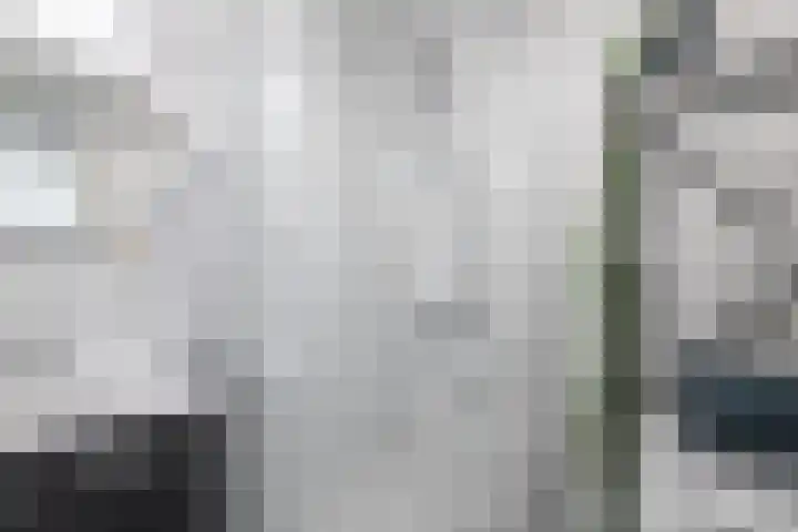 Paranádreef 123 Utrecht thumbnail 15