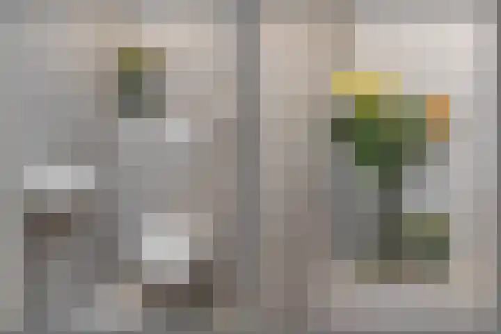 Paranádreef 123 Utrecht thumbnail 16