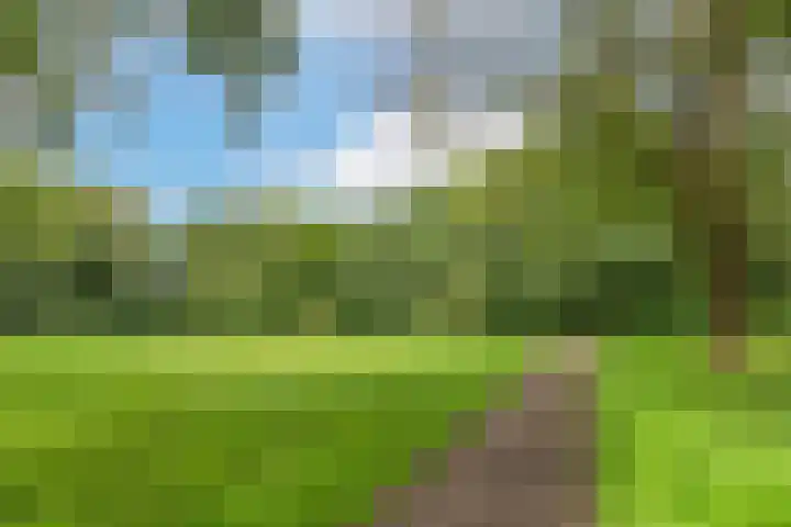 Paranádreef 123 Utrecht thumbnail 29