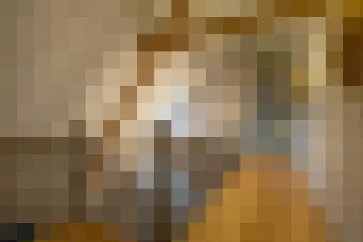 Parc Tichelt 5 Rijsbergen thumbnail 34