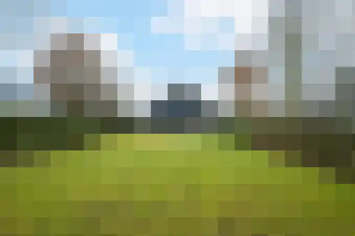 Parc Tichelt 5 Rijsbergen thumbnail 50