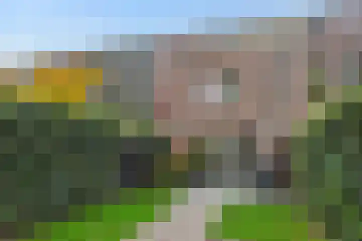 Parcivalring 109 's-Hertogenbosch thumbnail 32