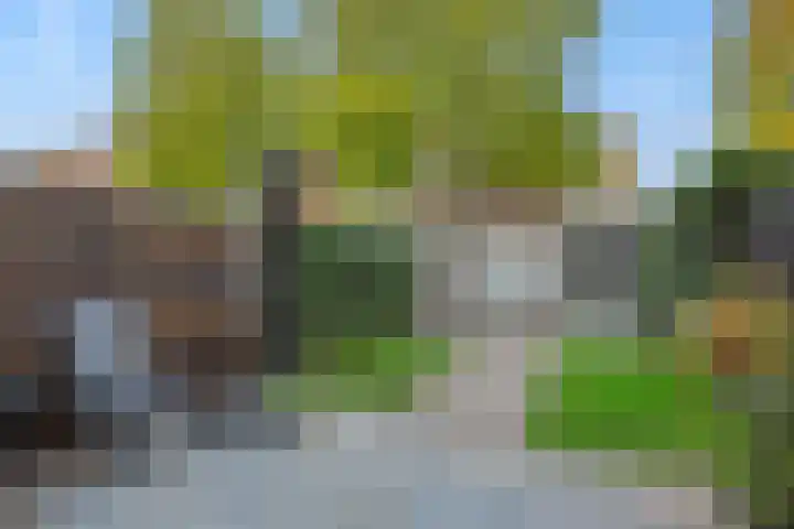 Parcivalring 109 's-Hertogenbosch thumbnail 34