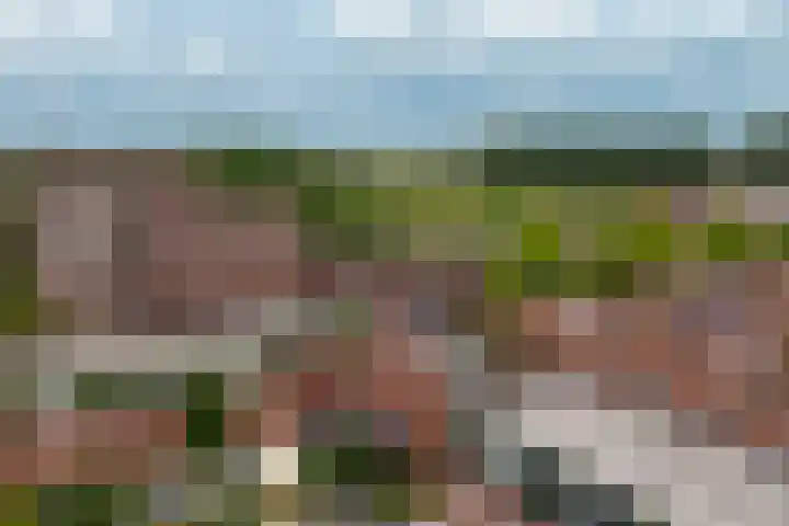 Parcivalring 126 's-Hertogenbosch thumbnail 57
