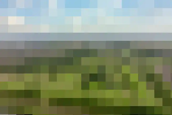 Parcivalring 126 's-Hertogenbosch thumbnail 62