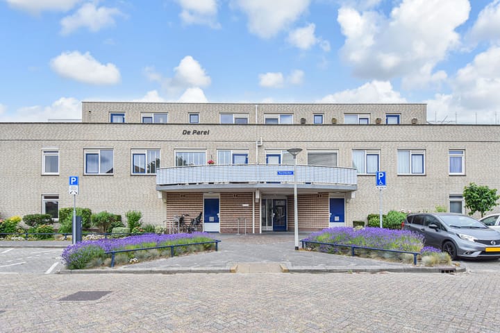 Parelduiker 60 in Monster foto