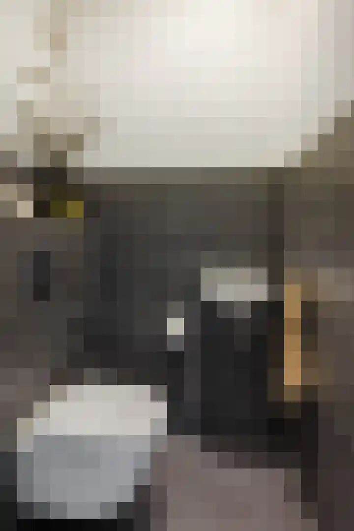 Parelgras 12 Heesch thumbnail 15