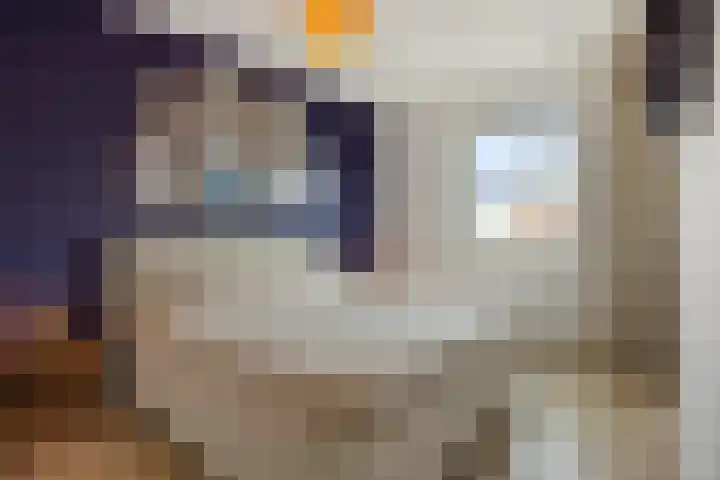 Parelgras 12 Heesch thumbnail 18