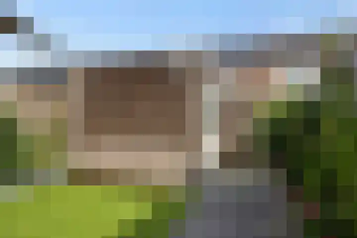 Parelgras 12 Heesch thumbnail 31