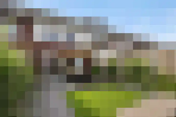 Parelgras 12 Heesch thumbnail 33