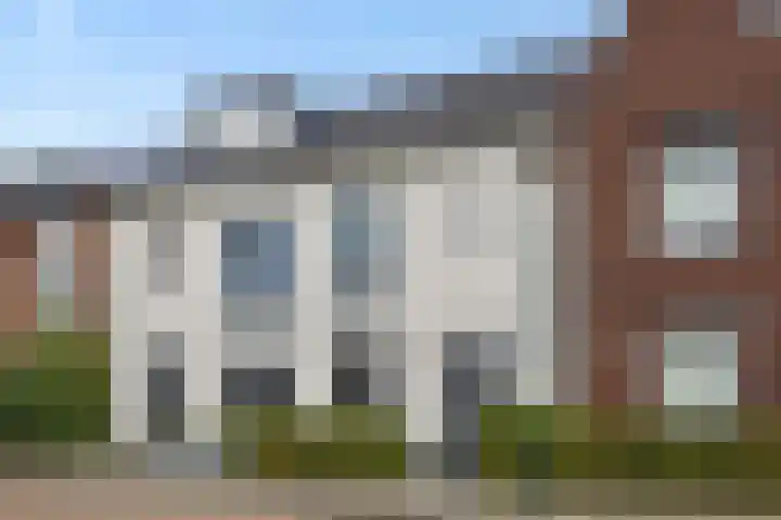 Parelgras 12 Heesch thumbnail 38