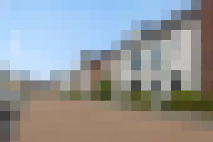 Parelgras 12 Heesch thumbnail 39