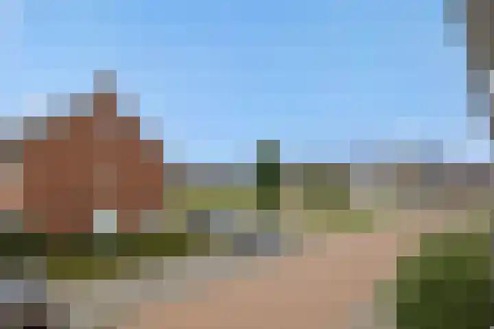 Parelgras 12 Heesch thumbnail 44