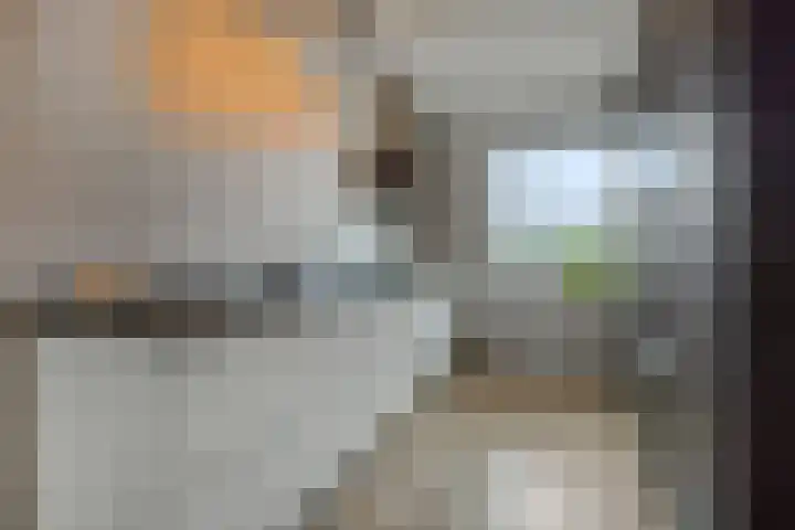 Parelgras 12 Heesch thumbnail 6