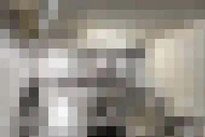 Parelgras 88 Houten thumbnail 20