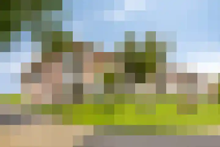 Parelgras 88 Houten thumbnail 22