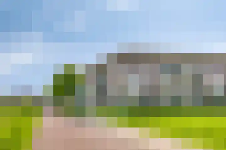 Parelgras 88 Houten thumbnail 23