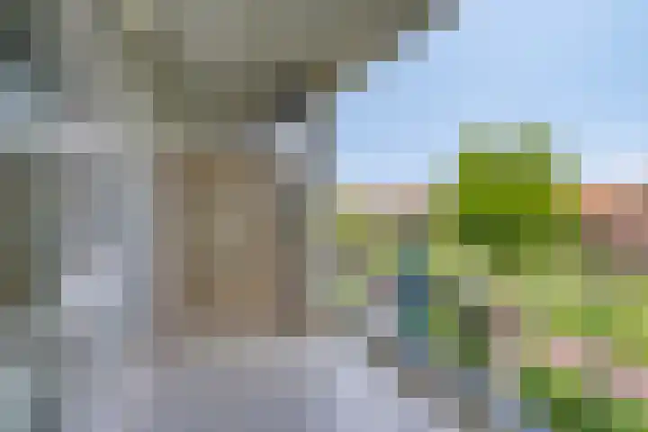 Parelgras 88 Houten thumbnail 8