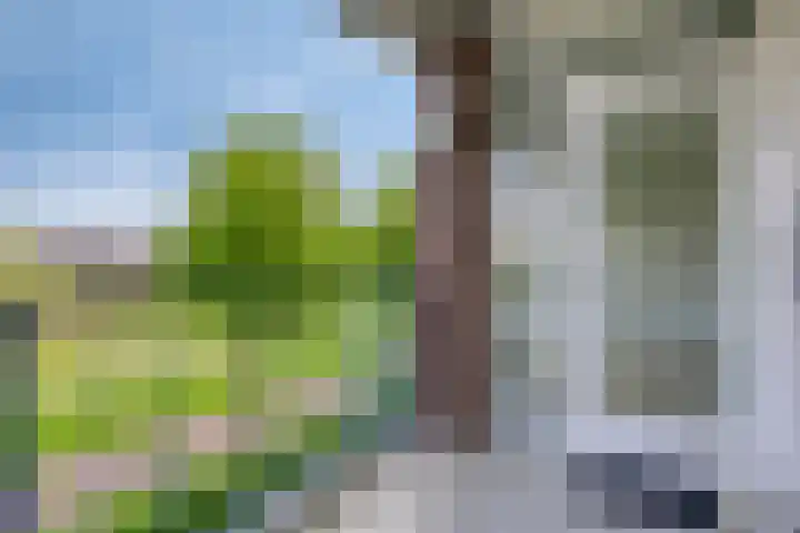 Parelgras 88 Houten thumbnail 9