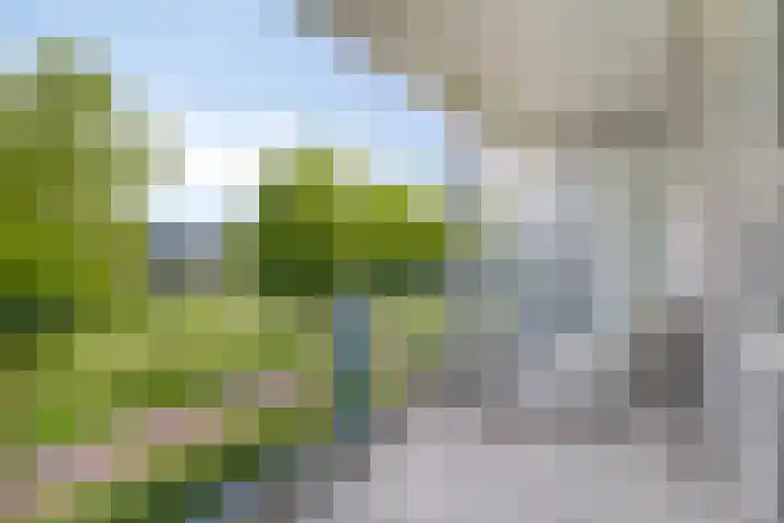 Parelgras 94 Houten thumbnail 12