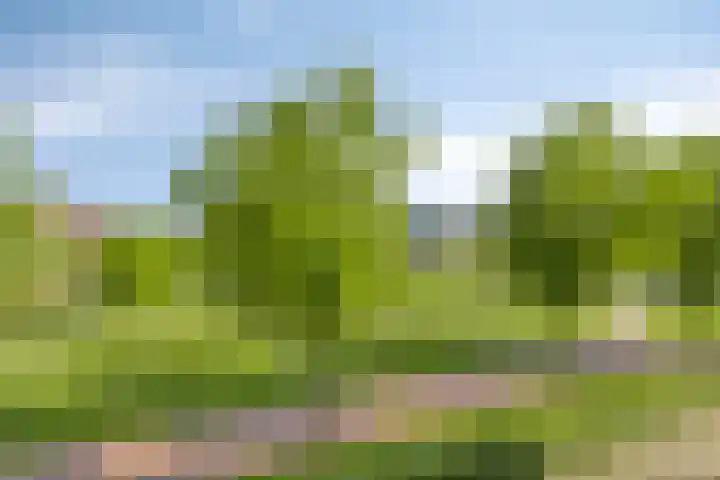 Parelgras 94 Houten thumbnail 13