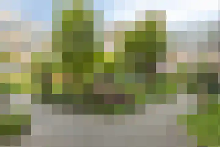 Parelgras 94 Houten thumbnail 24