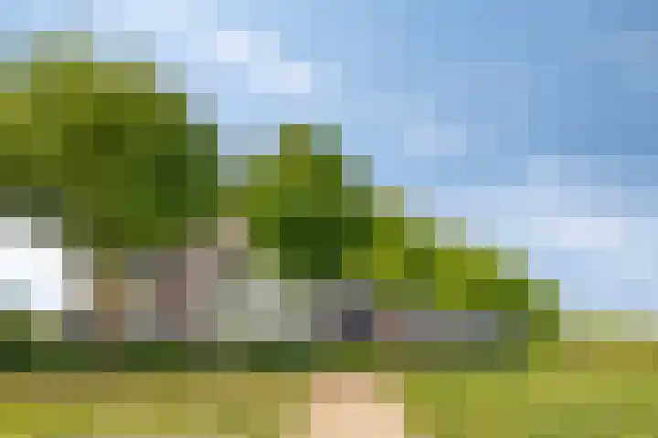 Parelgras 94 Houten thumbnail 25