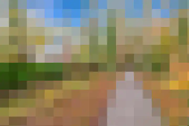 Parelmoerhorst 220 Den Haag thumbnail 18