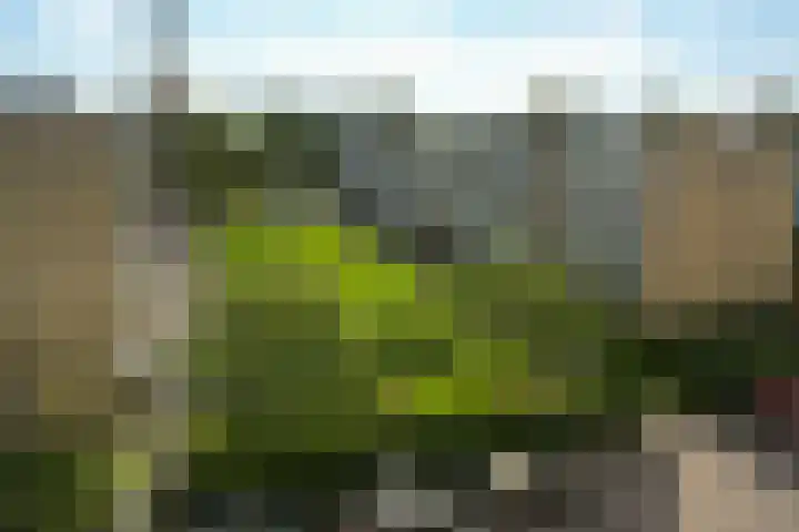 Parelmoerhorst 302 Den Haag thumbnail 19