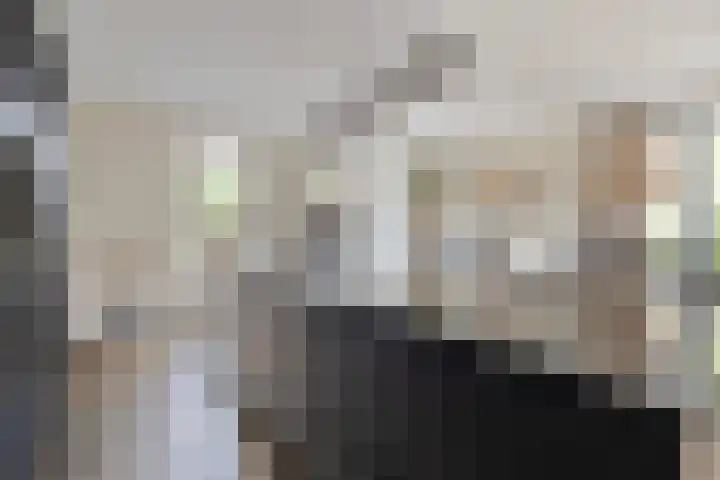 Parelmoervlinder 33 Enschede thumbnail 13