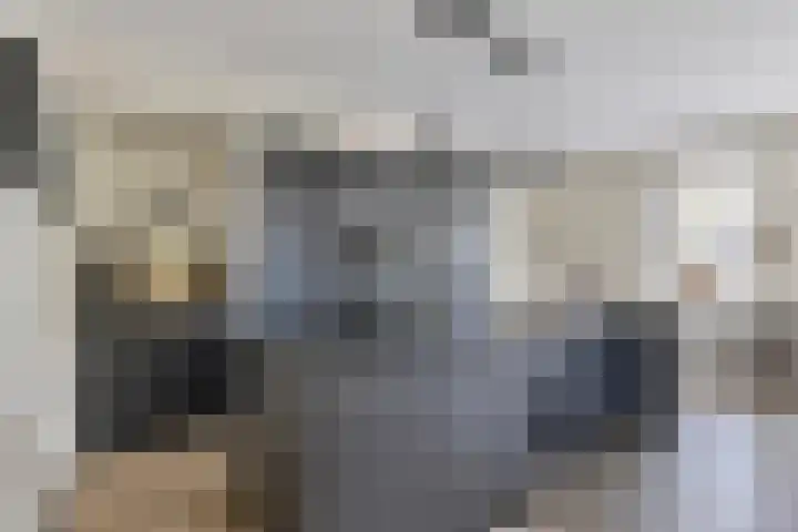 Parelmoervlinder 33 Enschede thumbnail 15