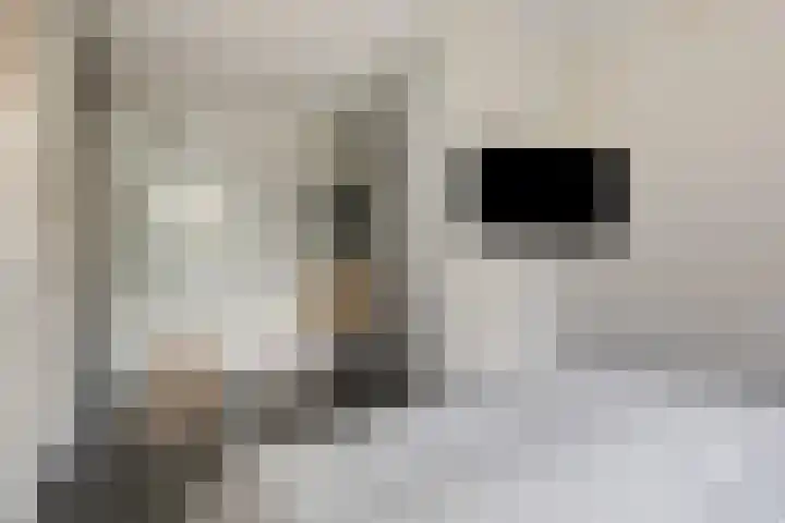 Parelmoervlinder 33 Enschede thumbnail 18